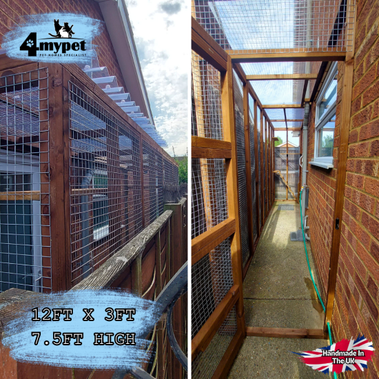 3ft x 12ft x 7ft High narrow lean to Catio 