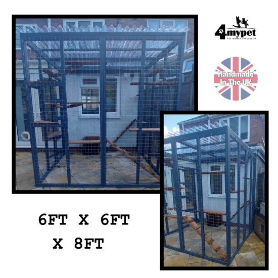 6FT X 6FT X 8FT High Lean to Three Sided Catio Enclosure 